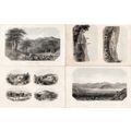 Dead Sea Cedars Of Lebanon Antiogh Jerusalem 4x...