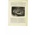 Aboriginal In Danger, Mexico, Book Illustration...