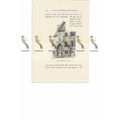 Luneburg, Rathhaus, Germany, Book Illustration ...