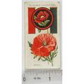 1933 Player's Boy Scout & Girl Guide Patrol Sig...