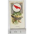 1933 Player's Boy Scout & Girl Guide Patrol Sig...