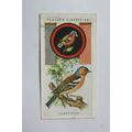 1933 Player's Boy Scout & Girl Guide Patrol Sig...