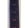 Dracula . Pk AA - A018r. 1 STRIP OF 10 - 35MM F...