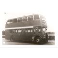 Black & White Photograph of Manchester Corporat...