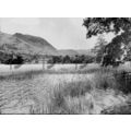 Rydal Water, Westmorland (Cumbria), B & W Photo...