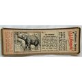 1955 Typhoo Wild Animals card 3 The Elephant