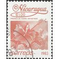 NICARAGUA, FLOWER, Hibiscus rosa-sinensis, pink...