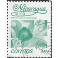 NICARAGUA, FLOWER, Malvaviscus arboreus, blue-g...