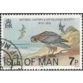 ISLE O MAN, BIRD, Peregrine Falcon, grey 1979, 7p