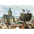 Colmar Nid de Cicognes France Postcard unused VGC