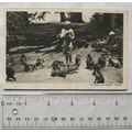 1934 postcard Monkies on Jakko, Simla