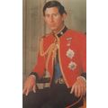 Prince Charles Colonel In Chief Welsh Military ...
