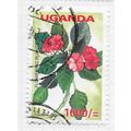 UGANDA 2005 FLOWERING PLANTS BUSY LIZZIE Impati...