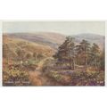 WEBBERS POST EXMOOR Artist Brian Gerald mid 20t...