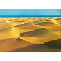 PLAYA DEL INGLES - GRAN CANARIA - POSTCARD ~