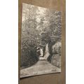 1917 fr Postcard - Back Avenue, Mayfield - Weal...