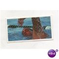 Brooke Bond Tea card OLYMPIC CHALLENGE 1992 no....