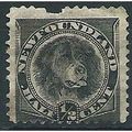 Newfoundland 1894 SG59 1/2c Black Filler Mounte...