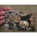 J Salmon Postcard - Grey Seals - Nature interest