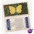 Brooke Bond Tea card BRITISH BUTTERFLIES no.46 ...