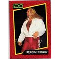 WCW ' FABULOUS FREEBIRDS ' card # 125 (1991)