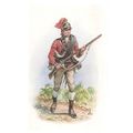 Private Light Company, 5th REGIMENT OF FOOT 177...