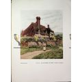 An Old Surrey Cottage, By Mrs Allingham, Book I...