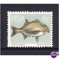 SOUTH AFRICA 1974 6c GALJOEN FISH SG 353 U/M MINT