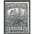 Newfoundland 1919 SG135 6d Slate-Grey Mounted M...