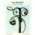 Karl Blossfeldt: Alphabet of Plants - Nachauflage by Karl Blossfeldt