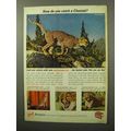 1964 Ansco Anscochrome 35mm Color Films Ad - Cheetah