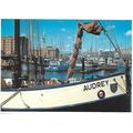 C17218X: Kingston upon Hull: 'Audrey' in the Ma...