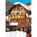 74 - Morzine - HOTEL RESTAURANT - LE CHAMOIS D'OR