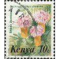 KENYA, FLOWER, Dichrostachys cinerea, green 198...