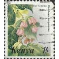KENYA, FLOWER, Dombeya burgessiae, green 1985, ...