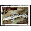 Vietnam 1991 Marine Life Fish 400d Used Stamp S...
