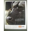 1991 Avis Lease Ad - Contrary to popular opinion, one of the largest fleet