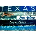 Texas Cities Porcelain Fridge Magnet