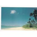 Nevis Eight Sisters Beach Montpellier Plantatio...