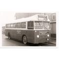 Black & White Photo of Castle Point Bus Co. Ltd...