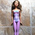 Barbie I Can Be A Ballerina 2009 Brunette Doll ...
