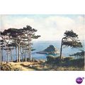 GB Postcard - Thatcher Rock, Off Torquay, S. Devon