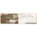 CT Norwalk Postcard Waterfall At Silvermine Tav...