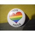 ODH,Gay Pride Pinback