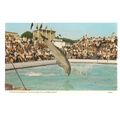 ZOO and MARINELAND, SCARBOROUGH, YORKSHIRE vint...