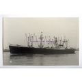 c3236 - United States Line Cargo Ship - America...