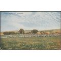 Sussex Downs, near Worthing, c.1920s - Photochr...