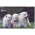 Puppies V7 Japan NTT Phone Card