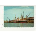 Belgium ANTWERP Harbour Postcard by JC (6/23)