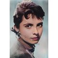bc0052 - Film Actress - Margaret O'Brien - prin...